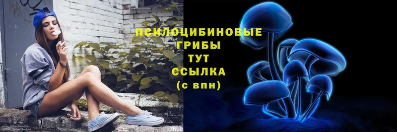 Галлюциногенные грибы Cubensis  Новоульяновск 